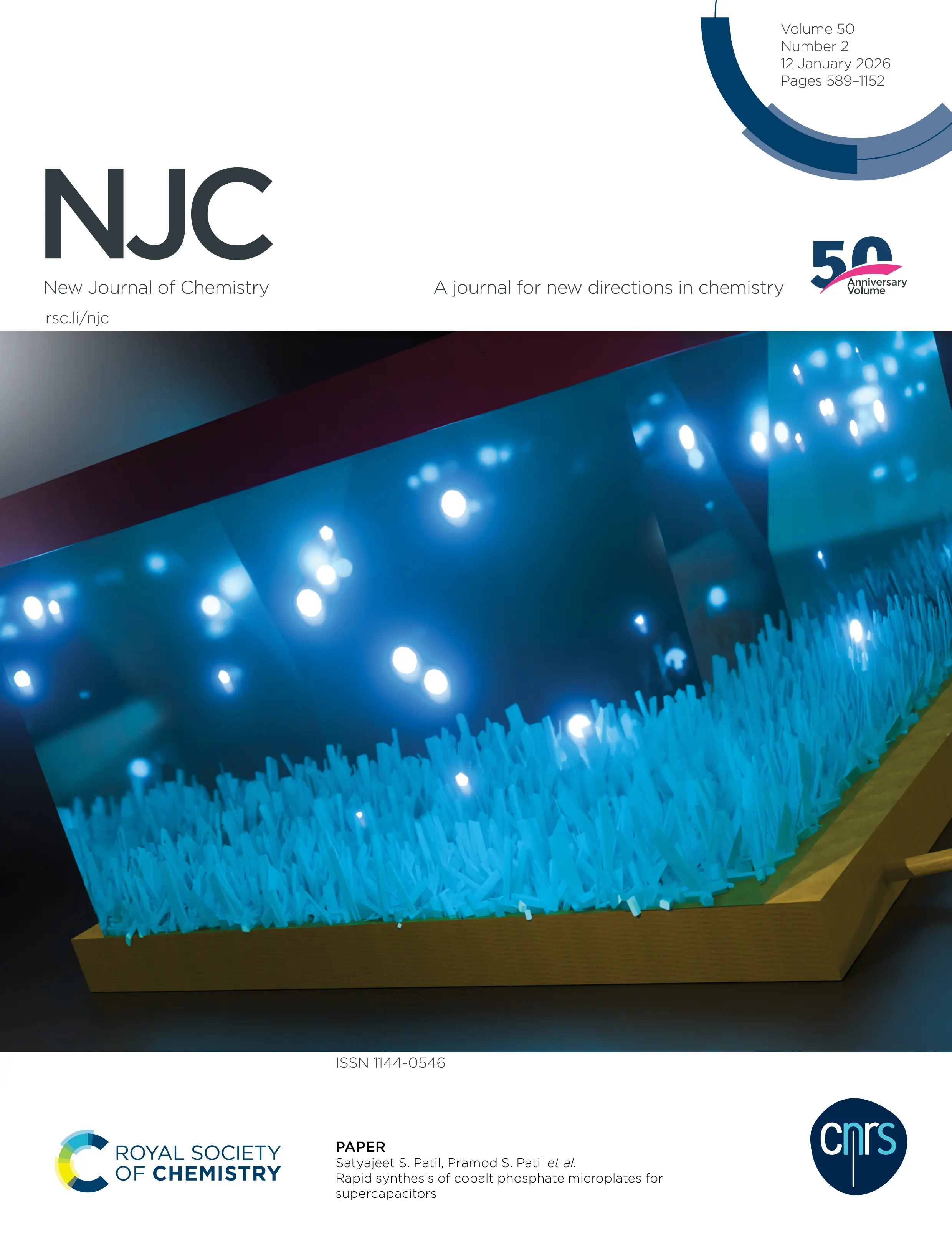 Cover Art Illustration