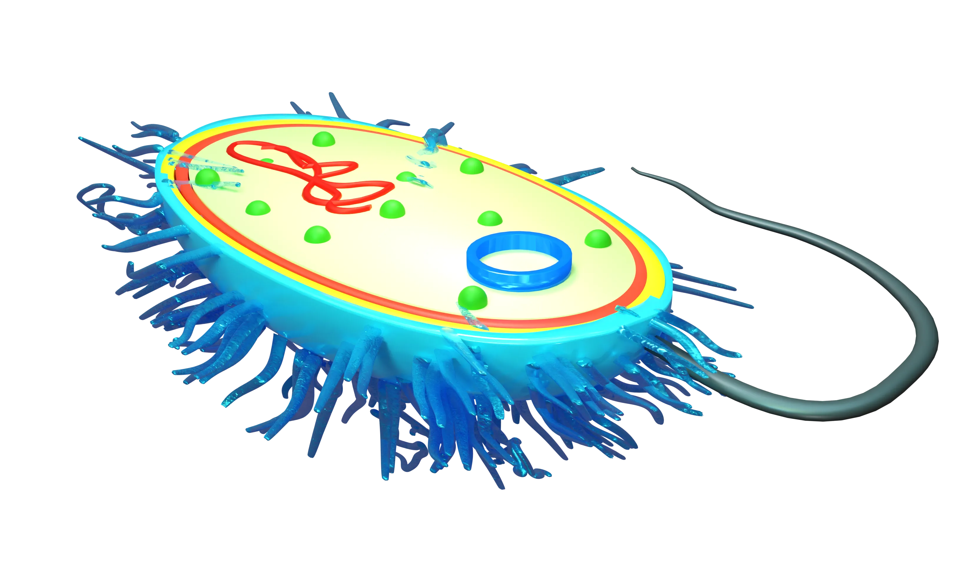3D Schematic
